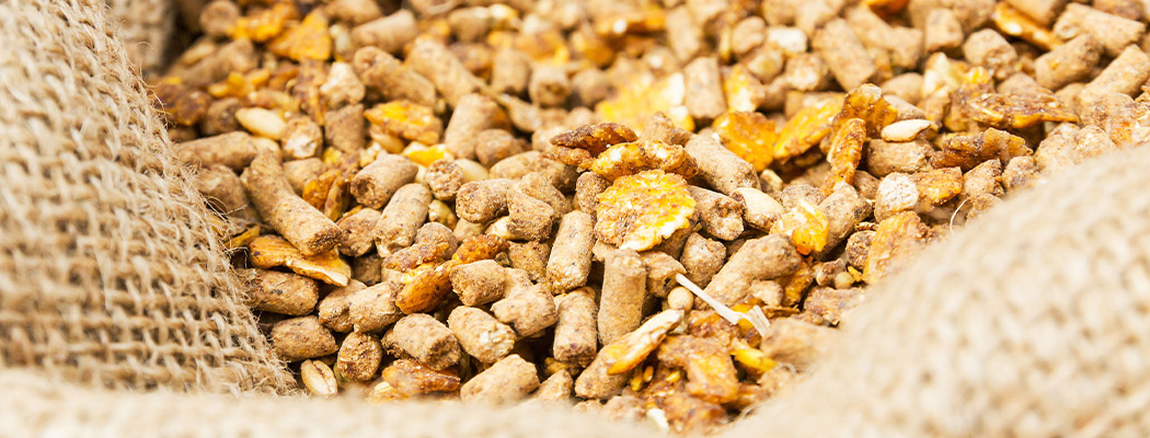 Para uso como pienso